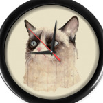 Grumpy Cat / Сердитый Кот