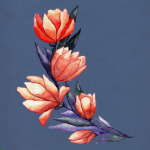 Тюльпаны
