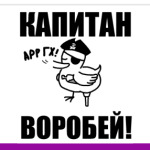  'Капитан воробей!'