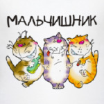 МАЛЬЧИШНИК