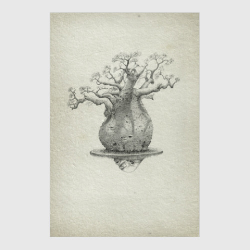 Постер с принтом Баобаб