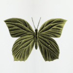 ЗОЛОТАЯ БАБОЧКА