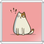 Пятничный Котик №6