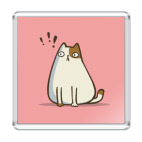 Пятничный Котик №6