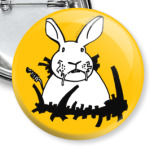  Белый кролик