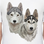 Хаски. Собаки.