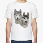 Хаски. Собаки.