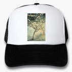 Кепки Trucker