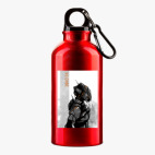 Металлическая бутылка 400 мл UV-DTF