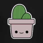 Веселый кактус