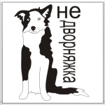  бордер колли