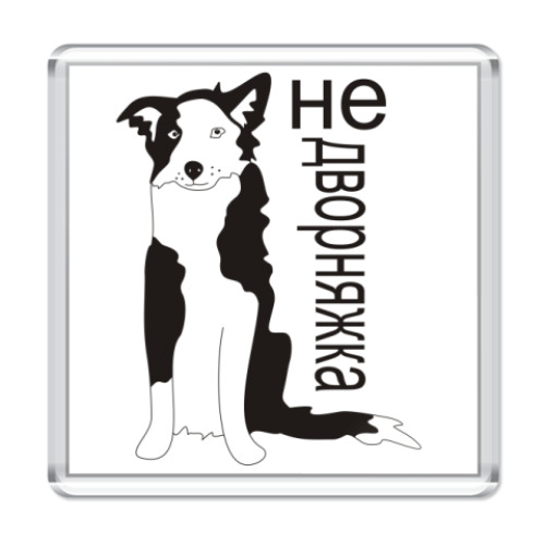 Магнит  бордер колли
