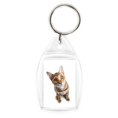 Брелок с принтом Котики-котята