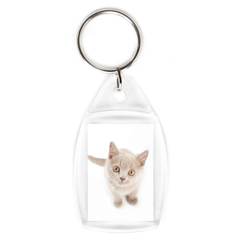 Брелок с принтом Котики-котята