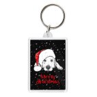 Собака Санта