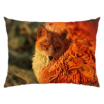 Огненный лис