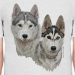 Хаски. Собаки.