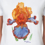 Ирис акварель