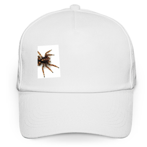 Кепка бейсболка с принтом Паук