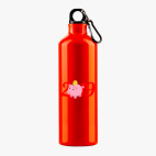 Металлическая бутылка 700 мл UV-DTF