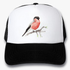 Кепки Trucker