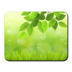 Летнее настроение