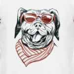 Бандито гангстерито