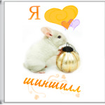 Шиншилла