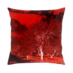 Яблоневый сад