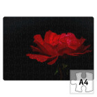 Пазл Роскошный цветок