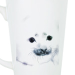 Малыш тюлень