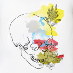  Августовский череп