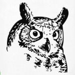 Сова, совушка, мудрые в городе