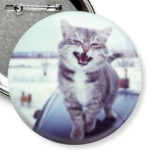 Смазливый кот.