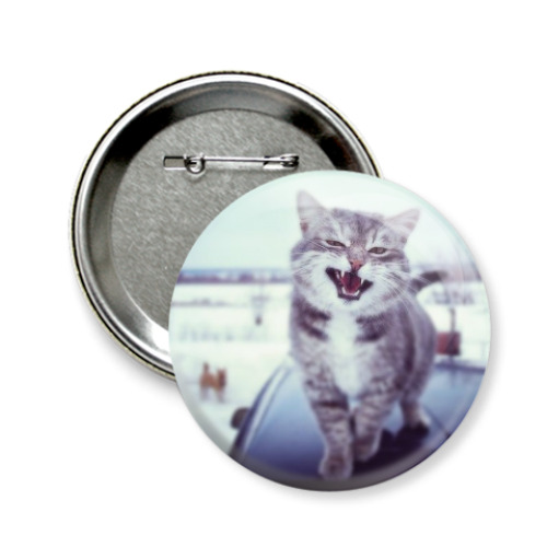 Значок 58мм с принтом Смазливый кот.