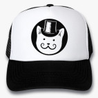 Мистер Кот в шляпе