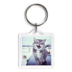 Смазливый кот.