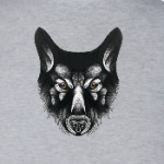 Черный волк злой взгляд