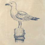 Море винтаж чайка