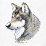 'Лесной волк'