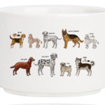 Собаки - лучшие друзья!