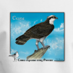 Скопа