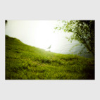 Оттенки зелёного