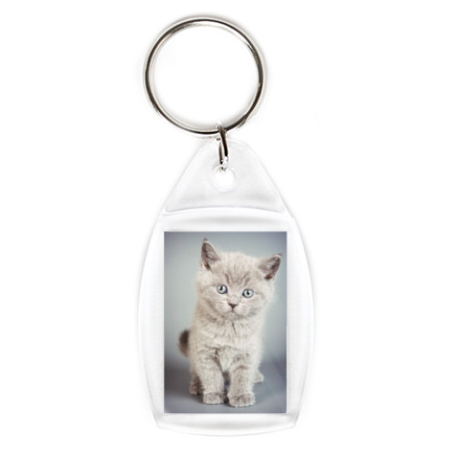 Брелок с принтом Котики-котята