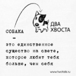  «Два хвоста»