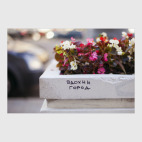 Вдохни город