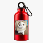 Металлическая бутылка 400 мл UV-DTF