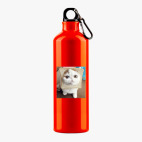 Металлическая бутылка 700 мл UV-DTF