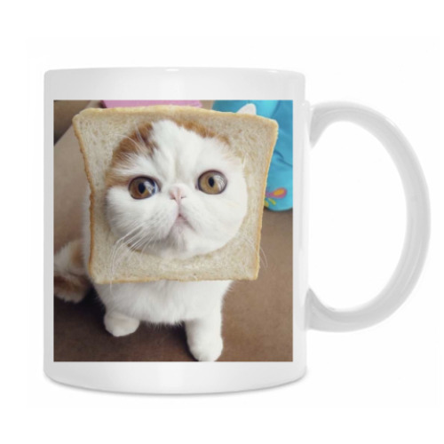 Кружка с принтом Котохлебинг