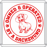 Owned & Operated By Dachshund